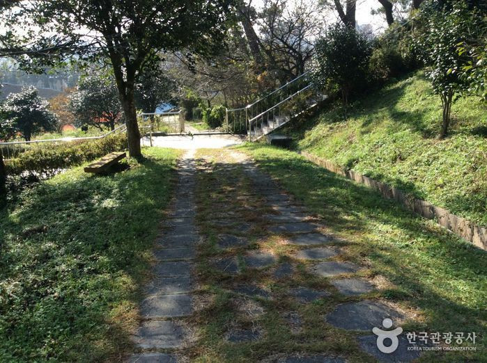 보은산 여행 추천 - 로드트립