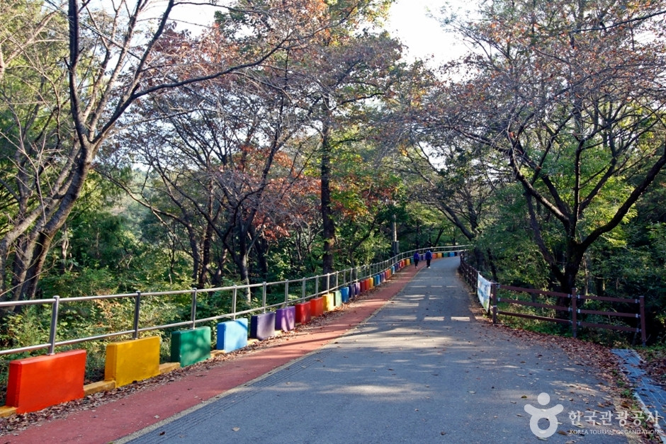 보문산 여행 추천 - 로드트립