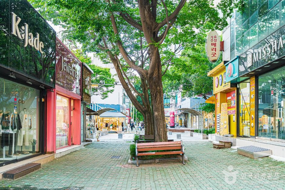 장미의거리 여행 추천 - 로드트립