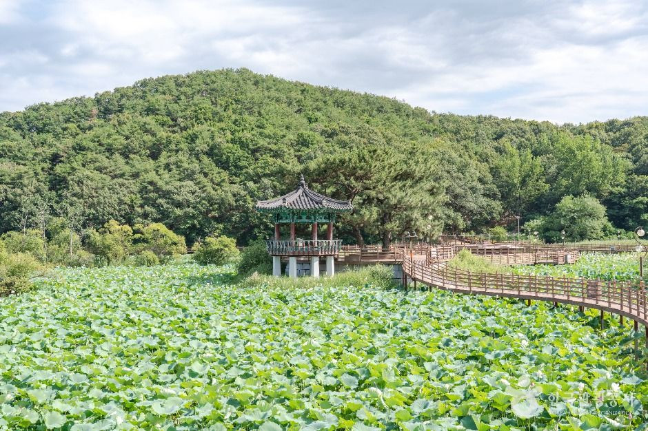 들성생태공원 여행 추천 - 로드트립