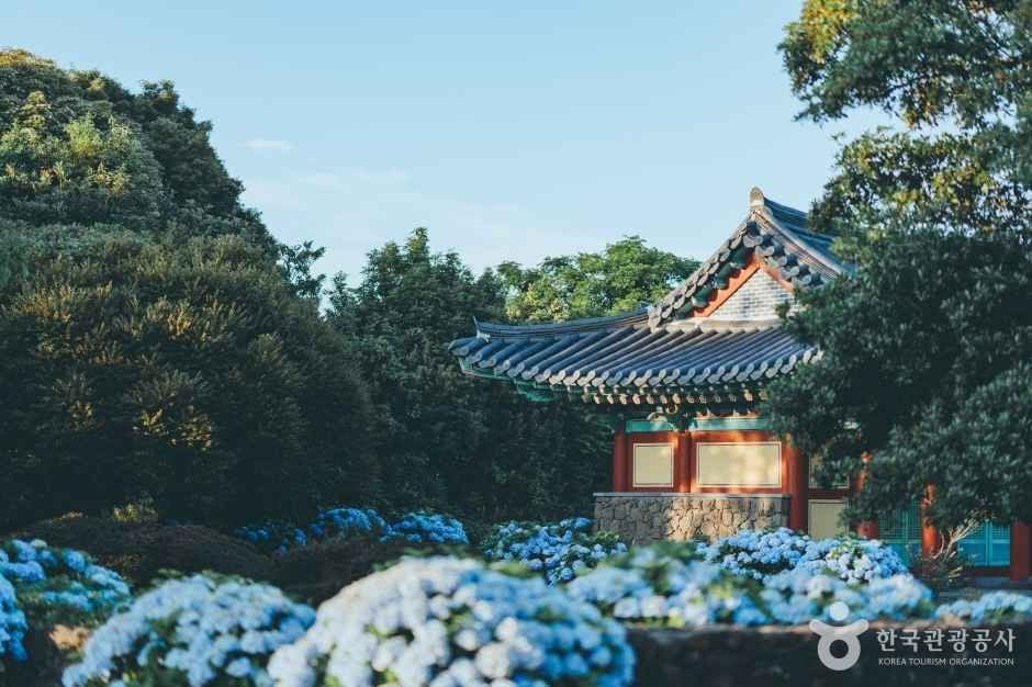 혼인지 여행 추천 - 로드트립