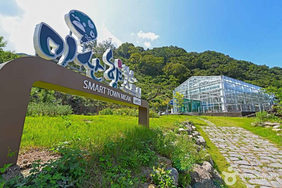 고로쇠마을(미산마을) 여행 추천 - 로드트립