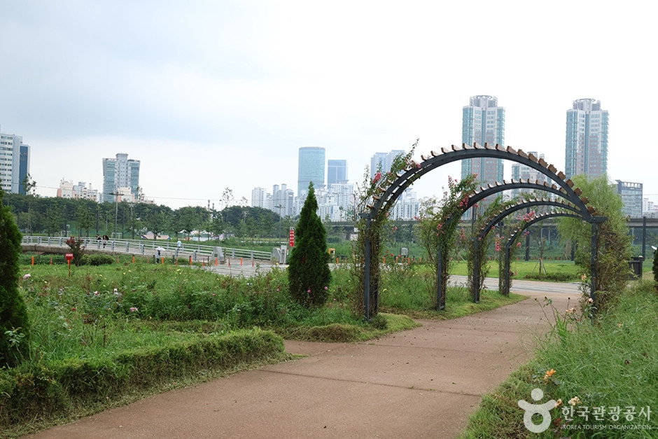 안양천가족정원 여행 추천 - 로드트립