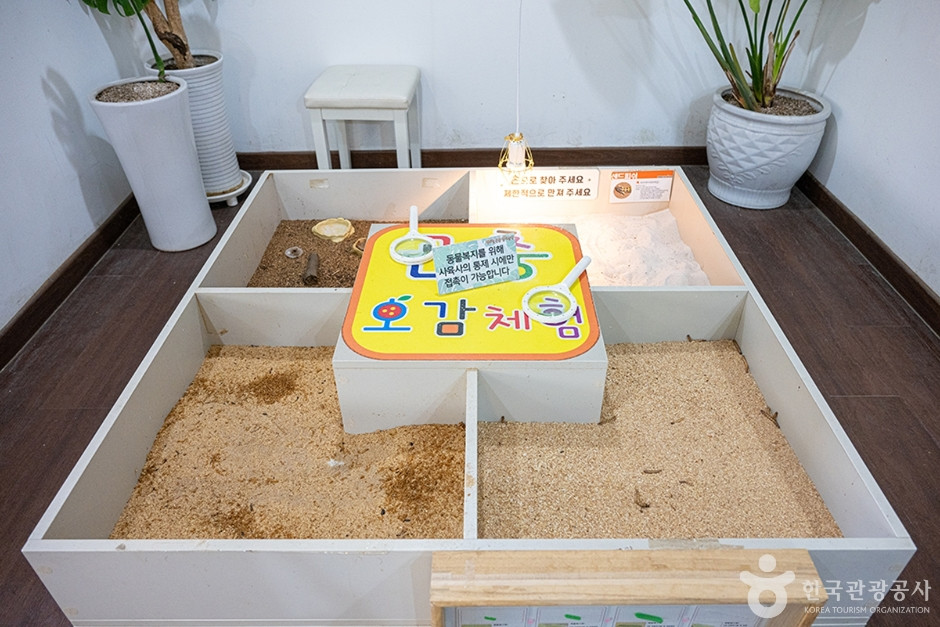 센트럴곤충생태농장 여행 추천 - 로드트립