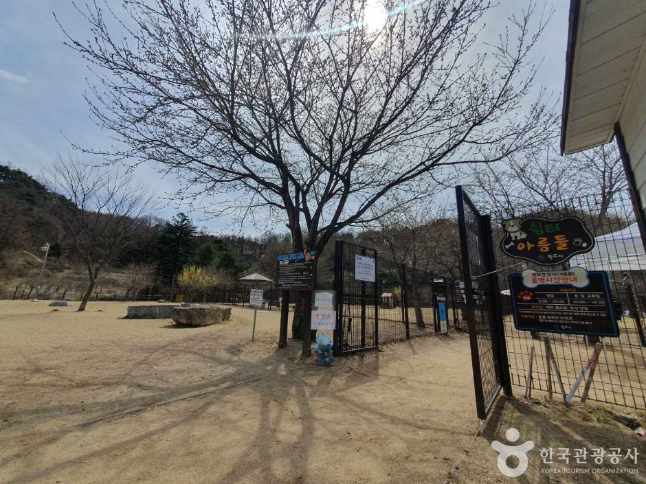 아름들 반려견쉼터 여행 추천 - 로드트립