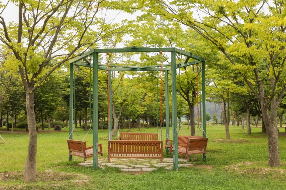 한반도섬 자연습지 여행 추천 - 로드트립