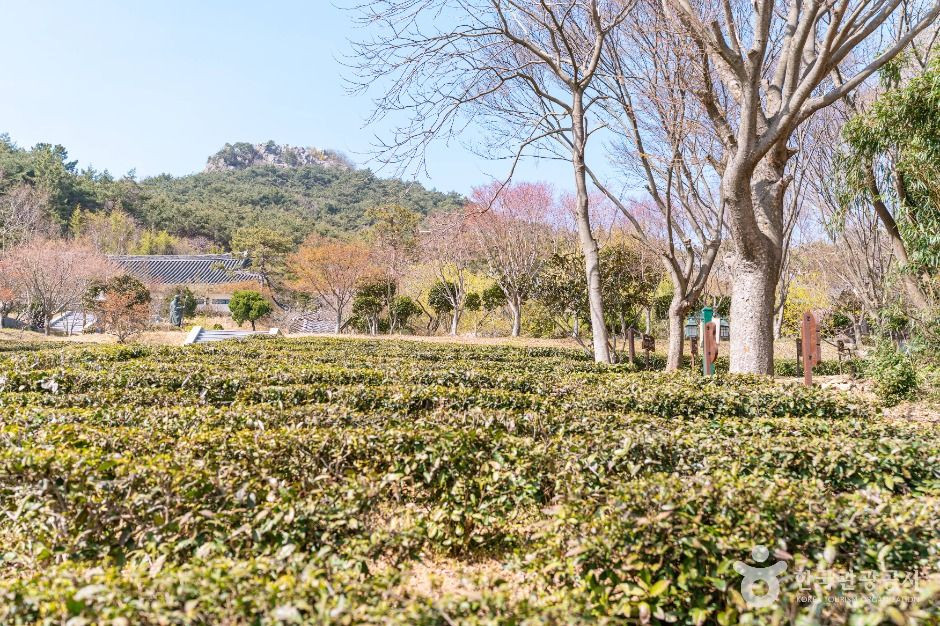 초의선사탄생지 여행 추천 - 로드트립
