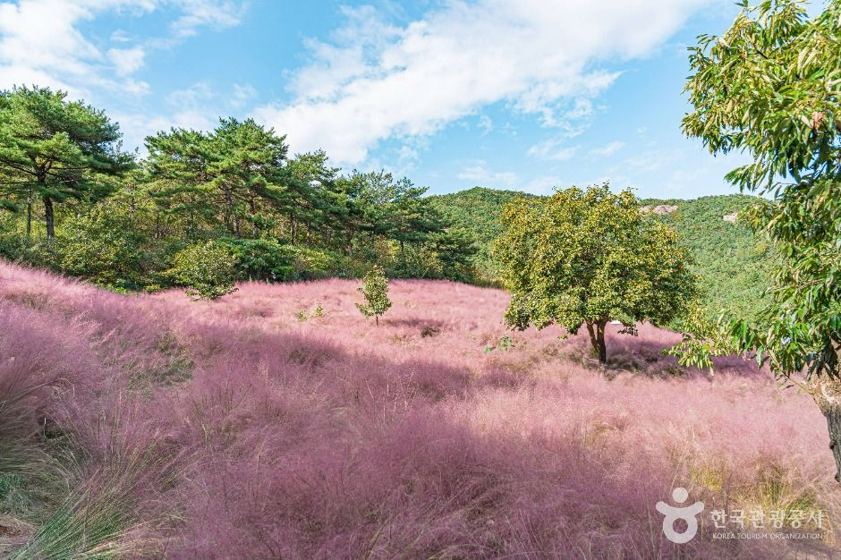 꽃객프로젝트 여행 추천 - 로드트립