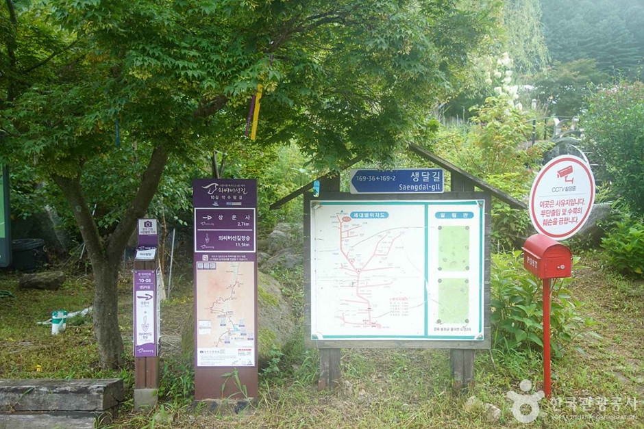 선달산(영월) 여행 추천 - 로드트립
