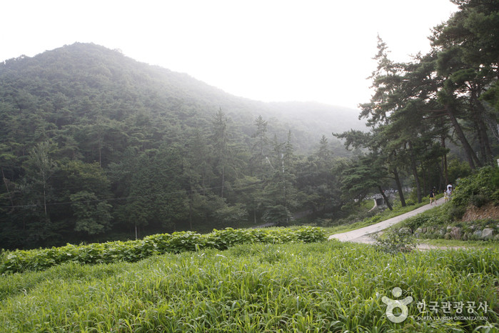 금성산(전남) 여행 추천 - 로드트립