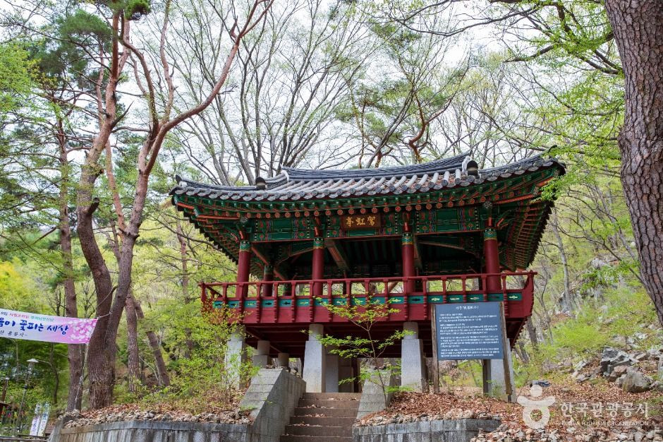 홍룡사(양산) 여행 추천 - 로드트립