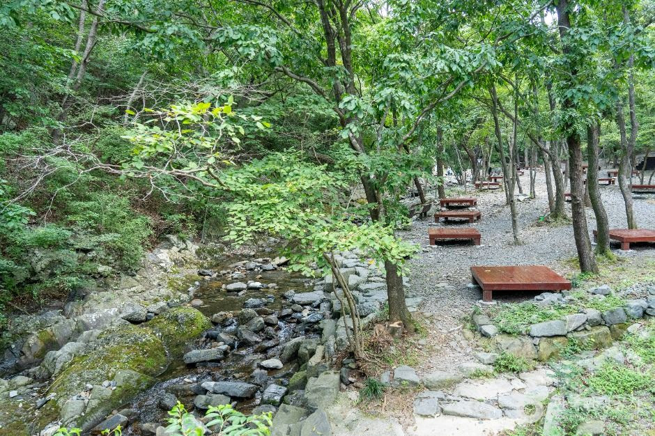 화장골 계곡 여행 추천 - 로드트립