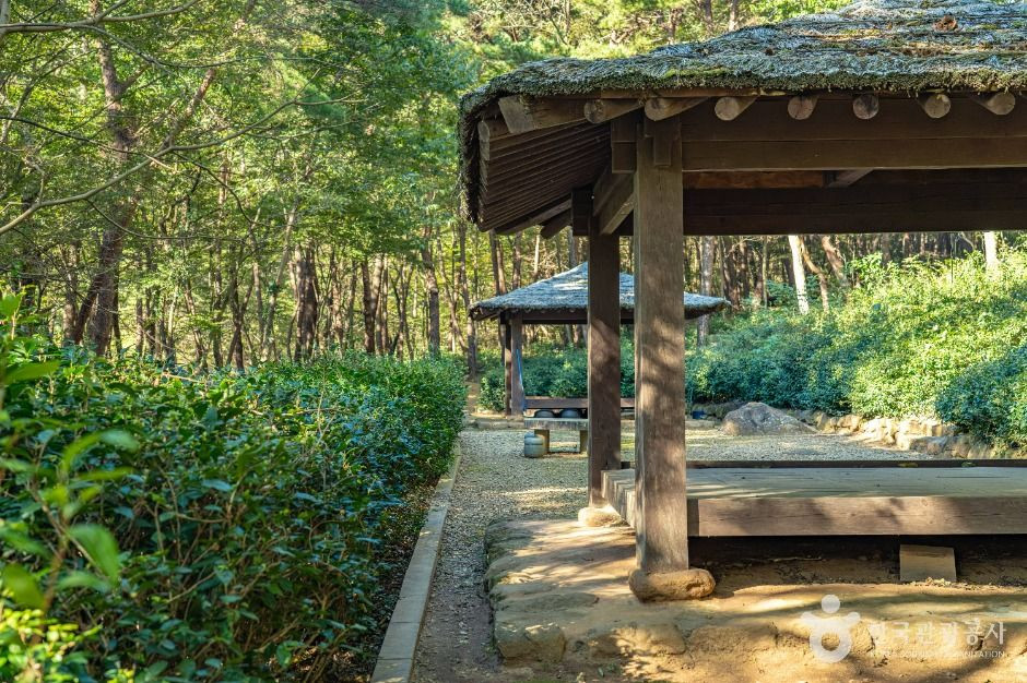 구례장죽전녹차시배지 여행 추천 - 로드트립