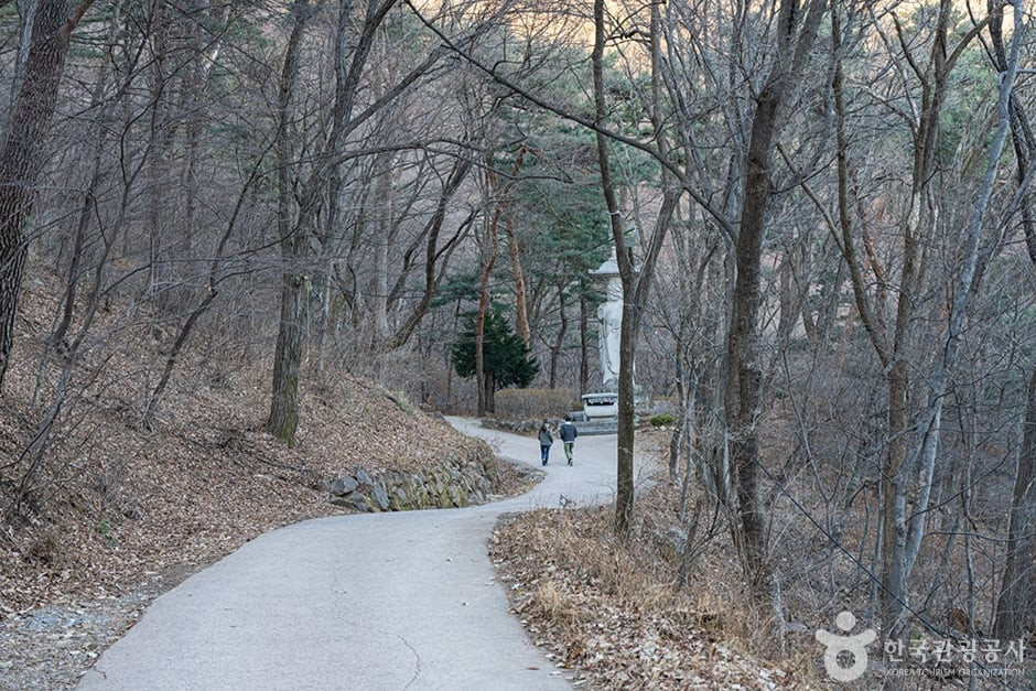 운길산 여행 추천 - 로드트립