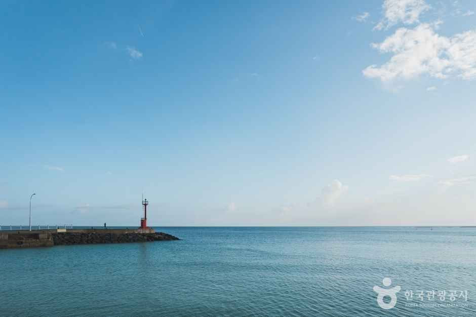 세기알해변 여행 추천 - 로드트립