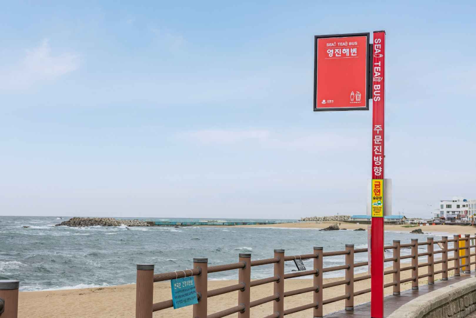 영진해변 여행 추천 - 로드트립
