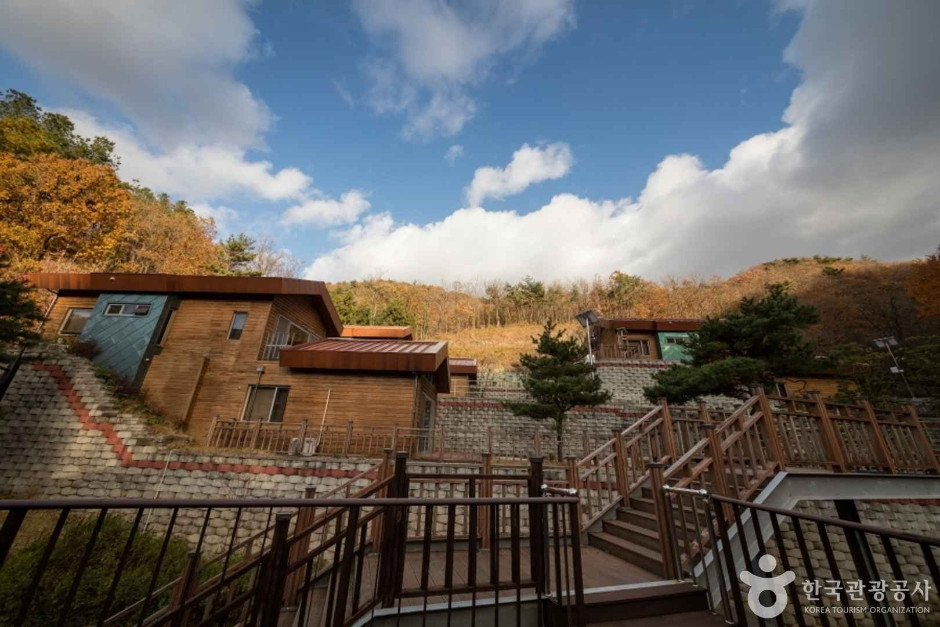 전남권 환경성질환 예방관리센터 여행 추천 - 로드트립