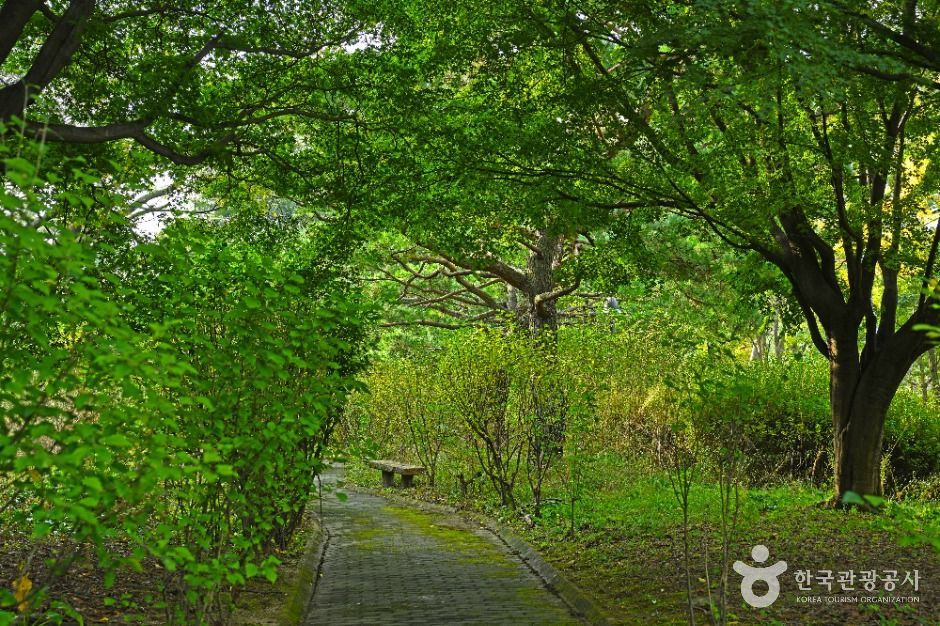 효행공원 여행 추천 - 로드트립