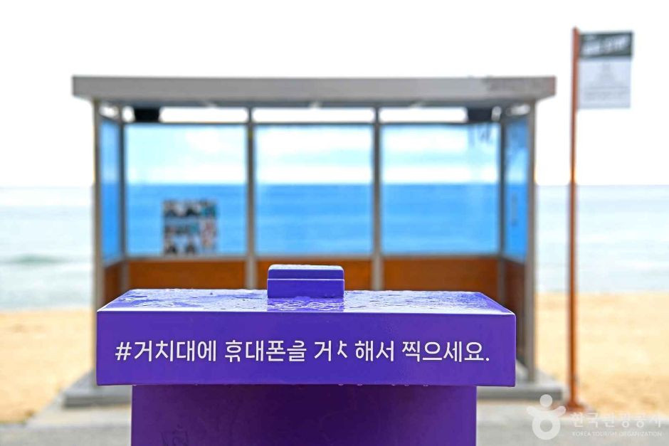 주문진읍 BTS 앨범사진 촬영지 (버스정류장) 여행 추천 - 로드트립
