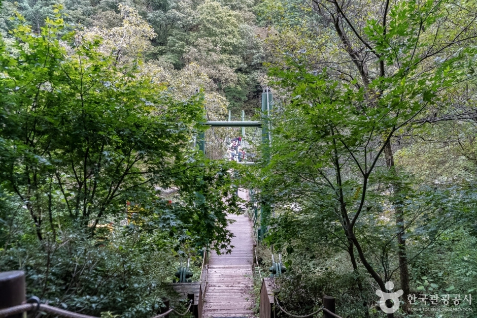 공작산생태숲 여행 추천 - 로드트립
