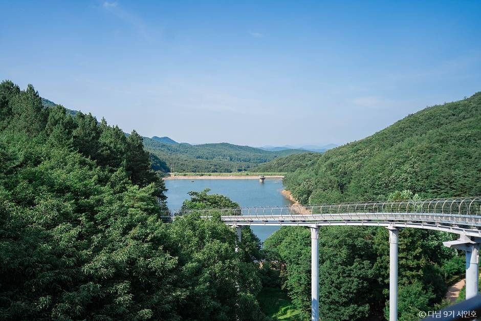 제암산자연휴양림 여행 추천 - 로드트립
