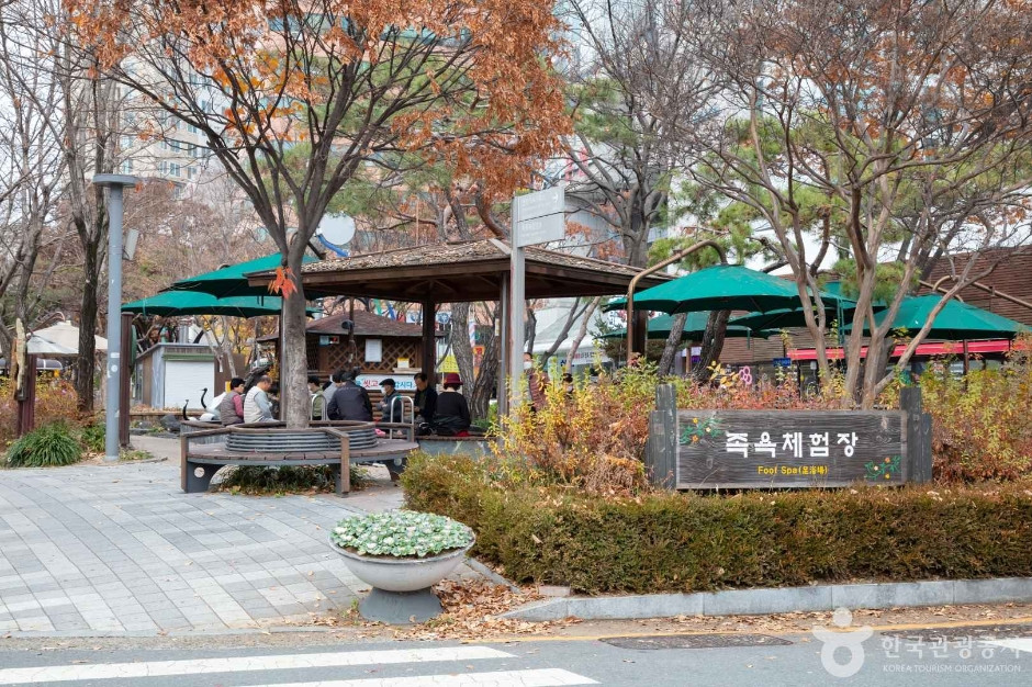 유성 족욕체험장 여행 추천 - 로드트립