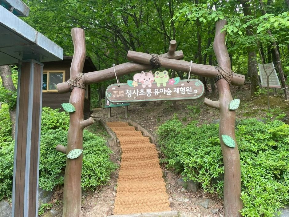 청사초롱 유아숲체험원 여행 추천 - 로드트립