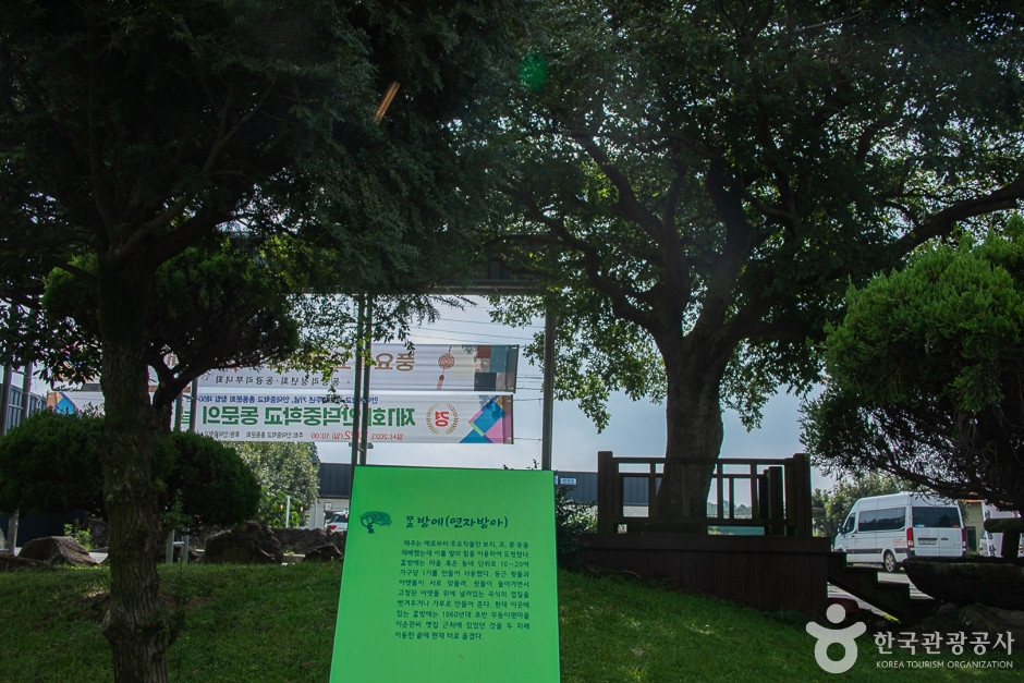 동광리농촌체험마을 여행 추천 - 로드트립