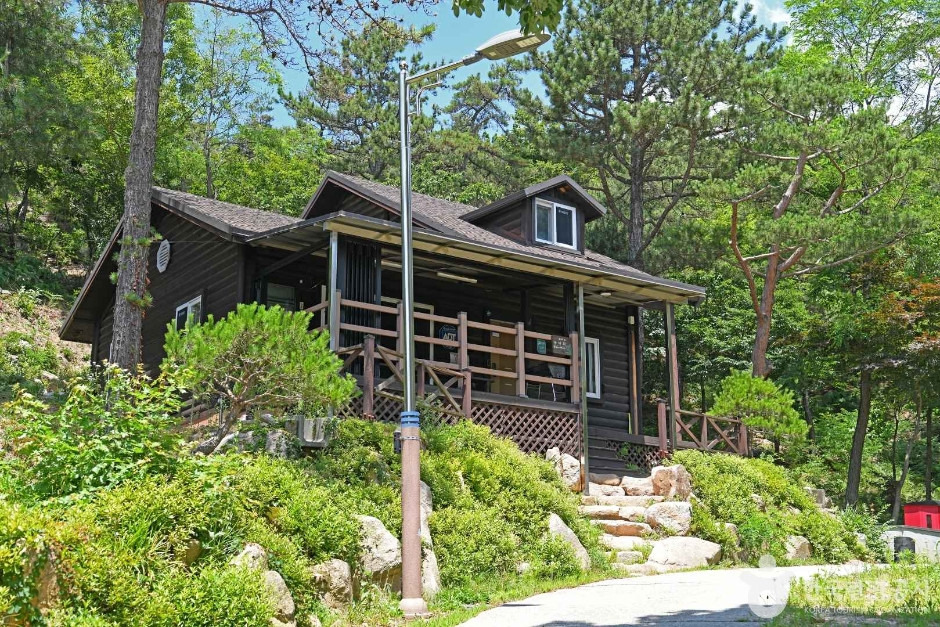 용봉산자연휴양림 여행 추천 - 로드트립