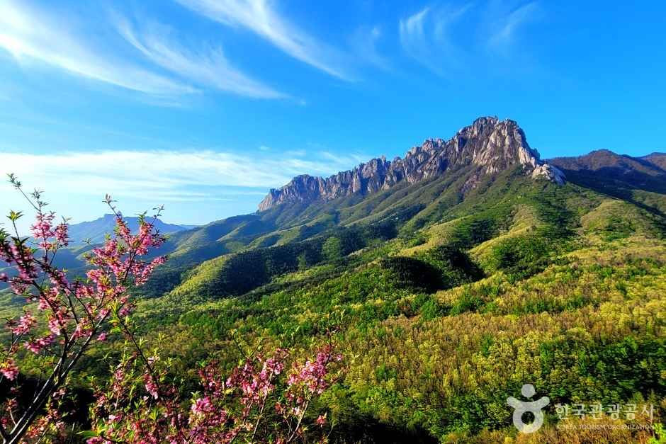 설악산 울산바위 여행 추천 - 로드트립