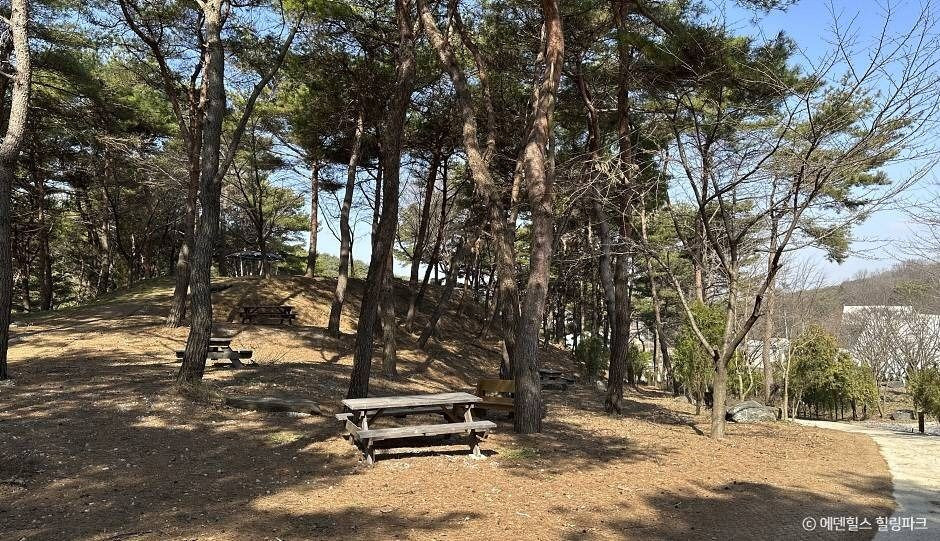 에덴힐스 힐링파크 여행 추천 - 로드트립