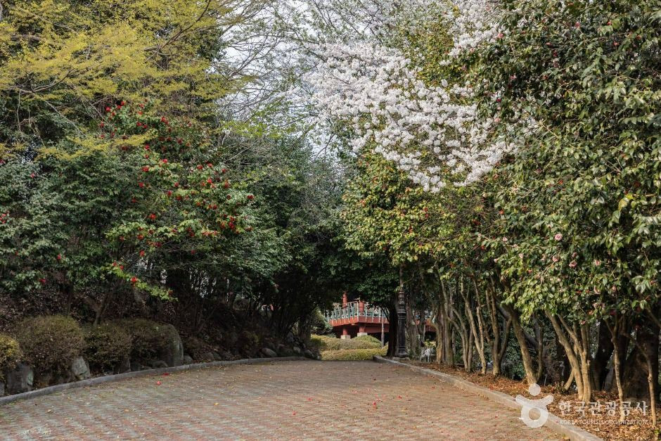 죽도봉공원 여행 추천 - 로드트립