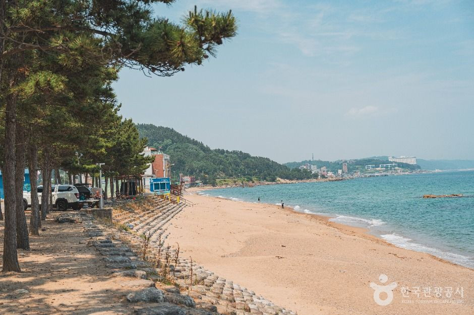 남호해수욕장 여행 추천 - 로드트립