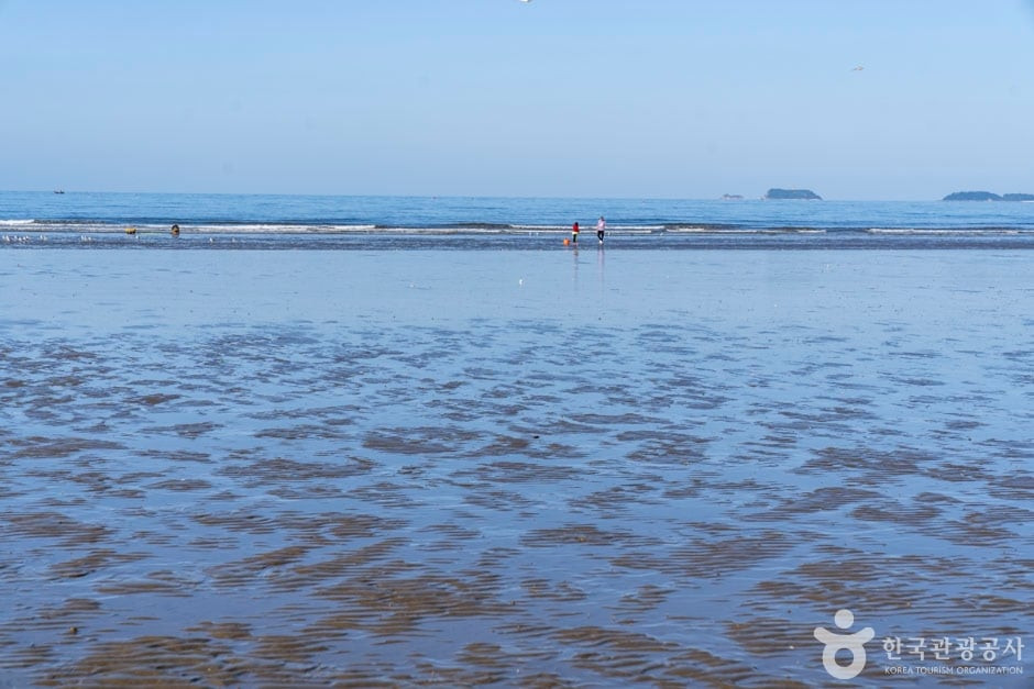 밧개해수욕장 여행 추천 - 로드트립