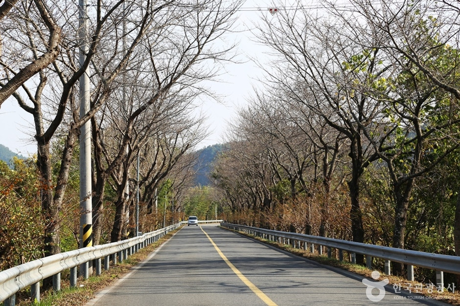 진양호 일주도로 여행 추천 - 로드트립