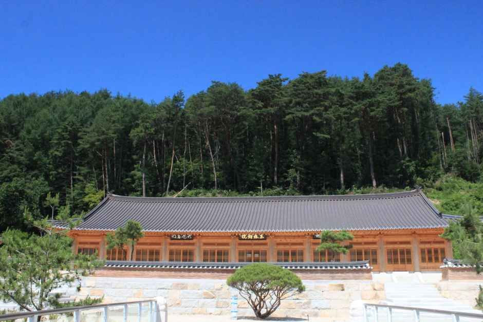 오대산 자연명상마을 옴뷔 여행 추천 - 로드트립