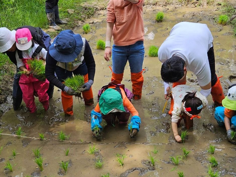 맹산반딧불이자연학교 여행 추천 - 로드트립