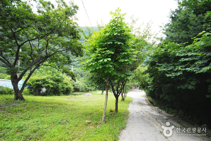 간월산 여행 추천 - 로드트립