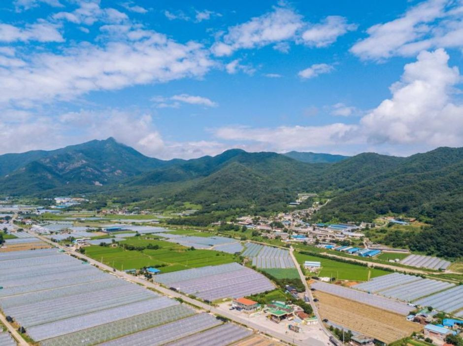 영암산(성주) 여행 추천 - 로드트립