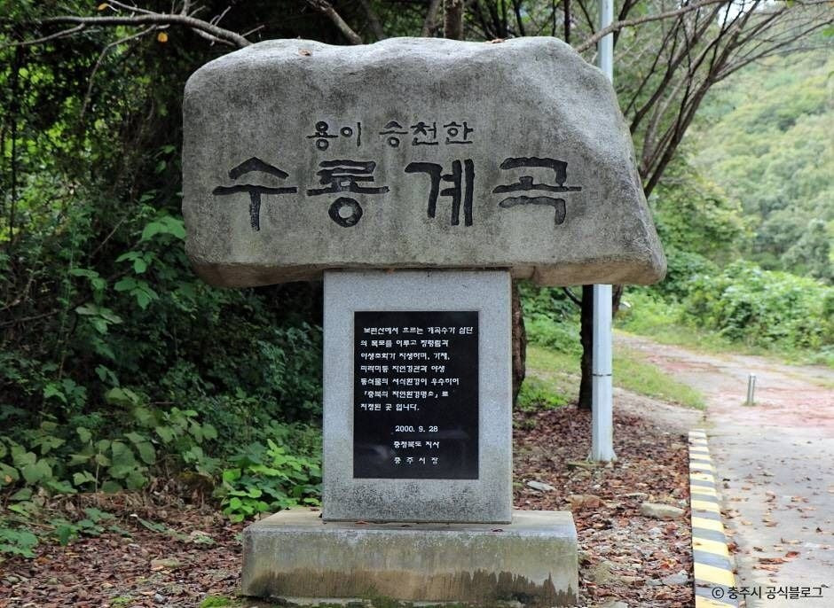 수룡폭포 여행 추천 - 로드트립