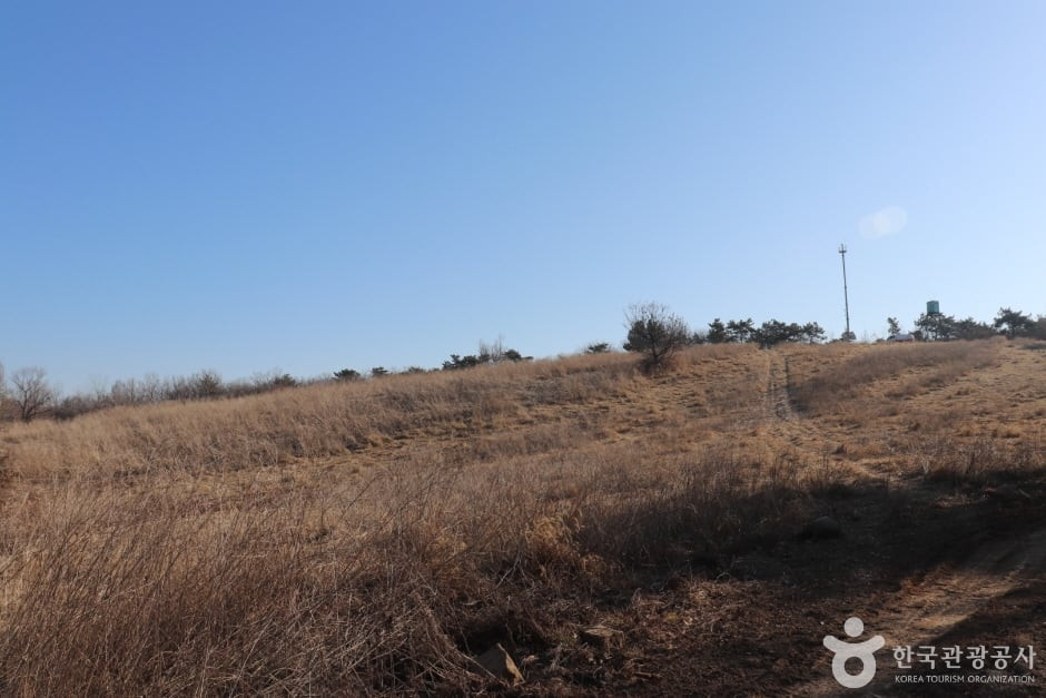 용골산 여행 추천 - 로드트립