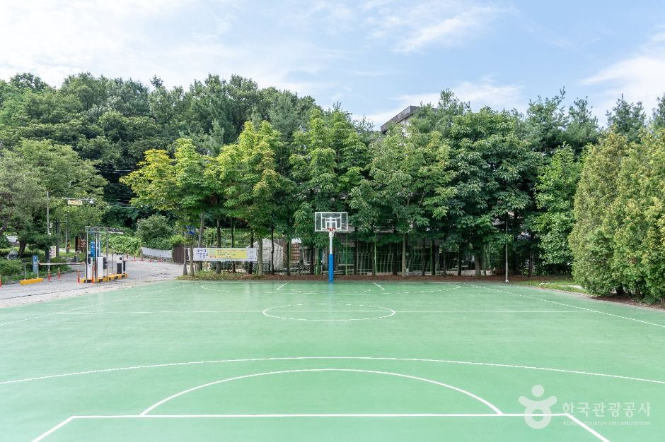 부곡체육공원 여행 추천 - 로드트립
