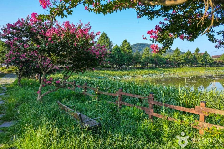 전평제 여행 추천 - 로드트립