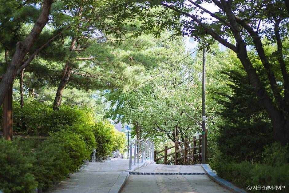 와룡공원 여행 추천 - 로드트립
