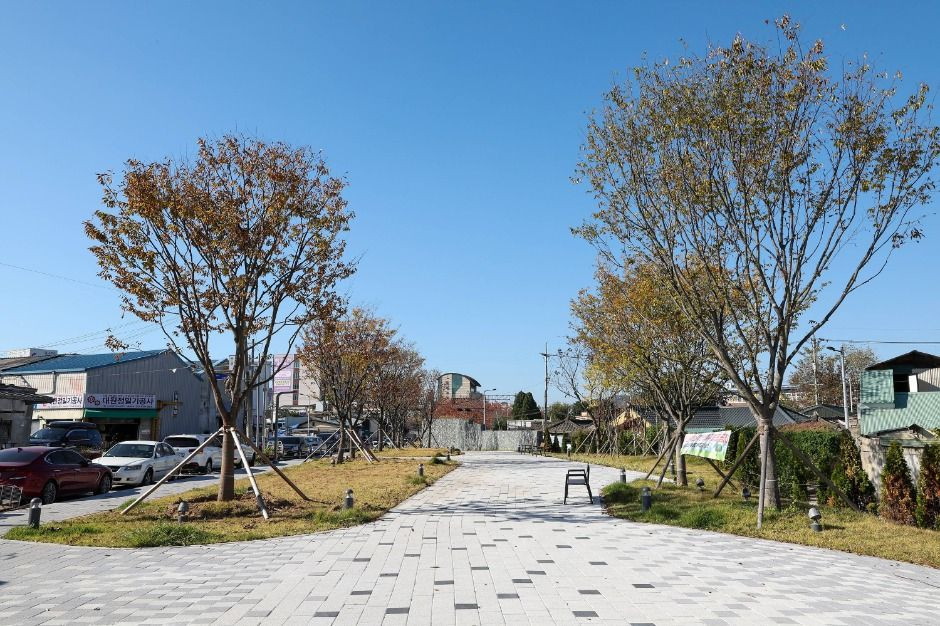 치악산 바람길숲 여행 추천 - 로드트립