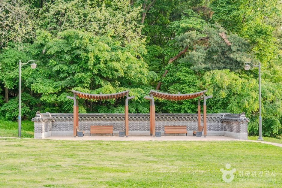 노송지대 여행 추천 - 로드트립