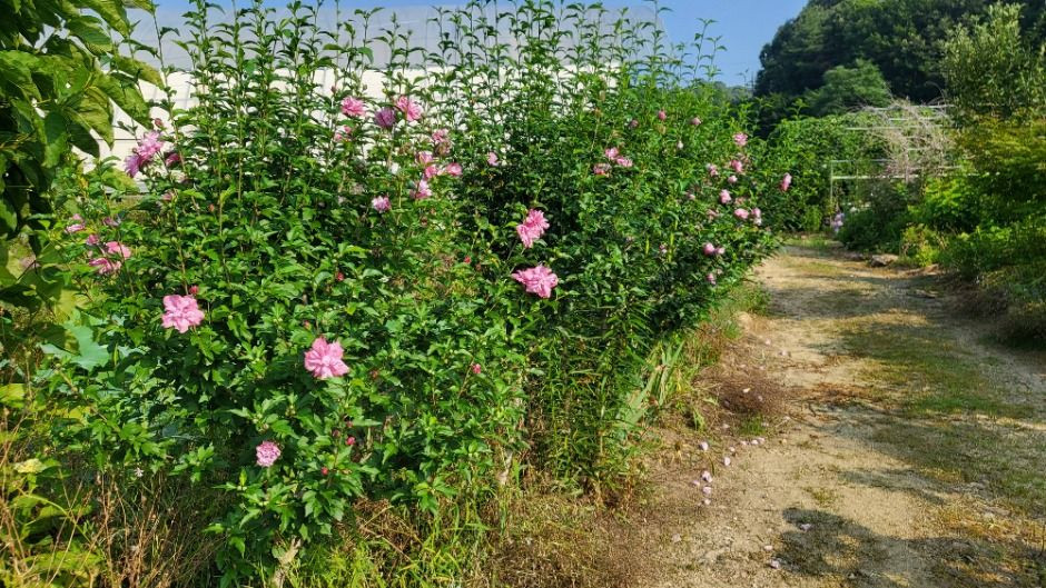 꿈팜 여행 추천 - 로드트립