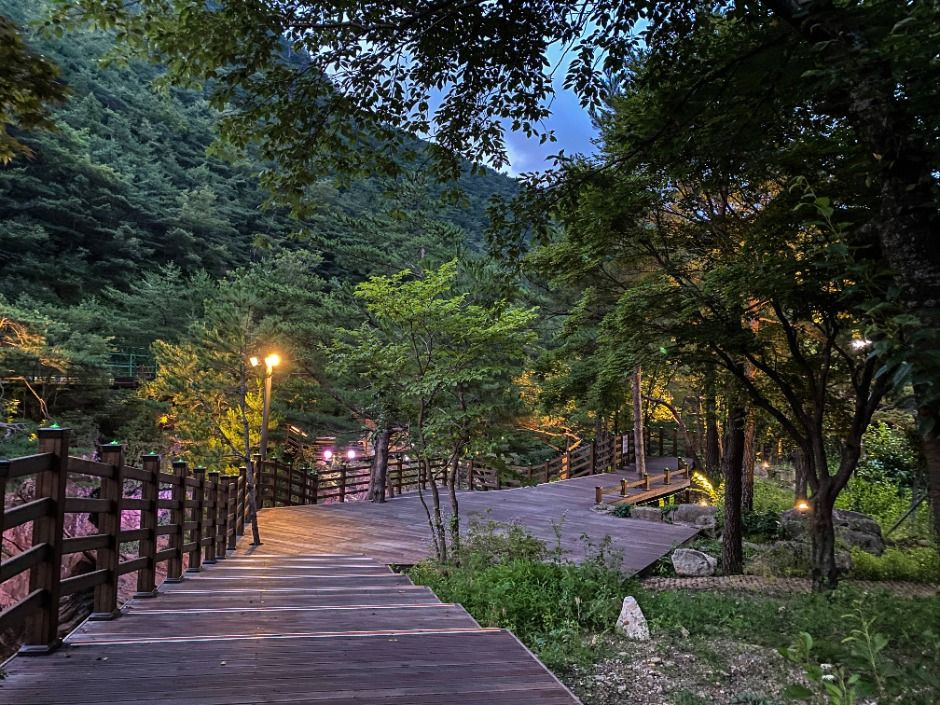 무릉 달빛 호암소길 여행 추천 - 로드트립