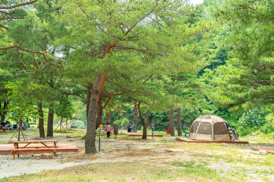 장신유원지 여행 추천 - 로드트립