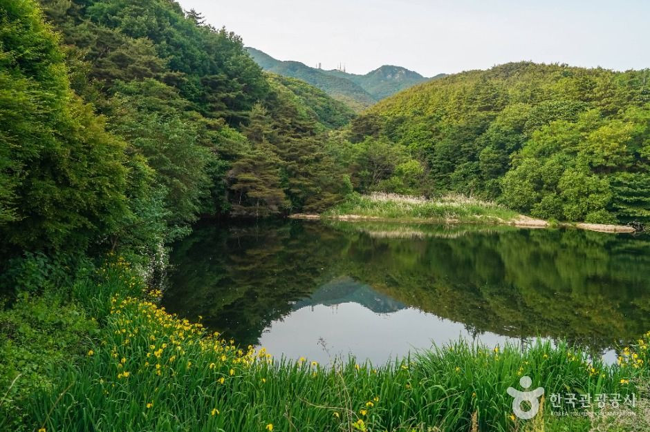 팔공산국립공원(동화사지구) 여행 추천 - 로드트립